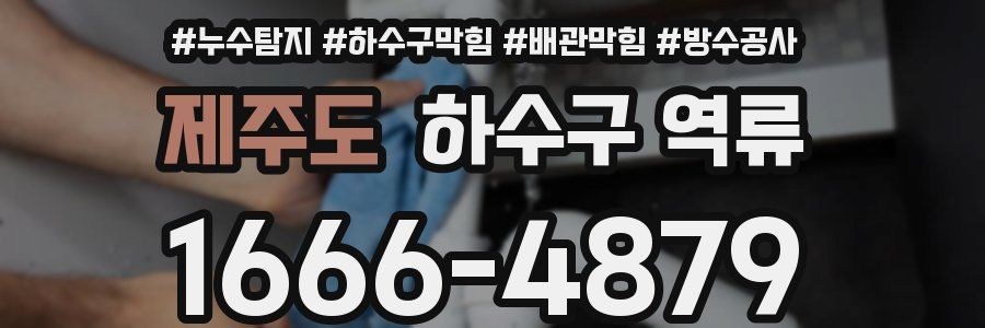 제주도 하수구 역류