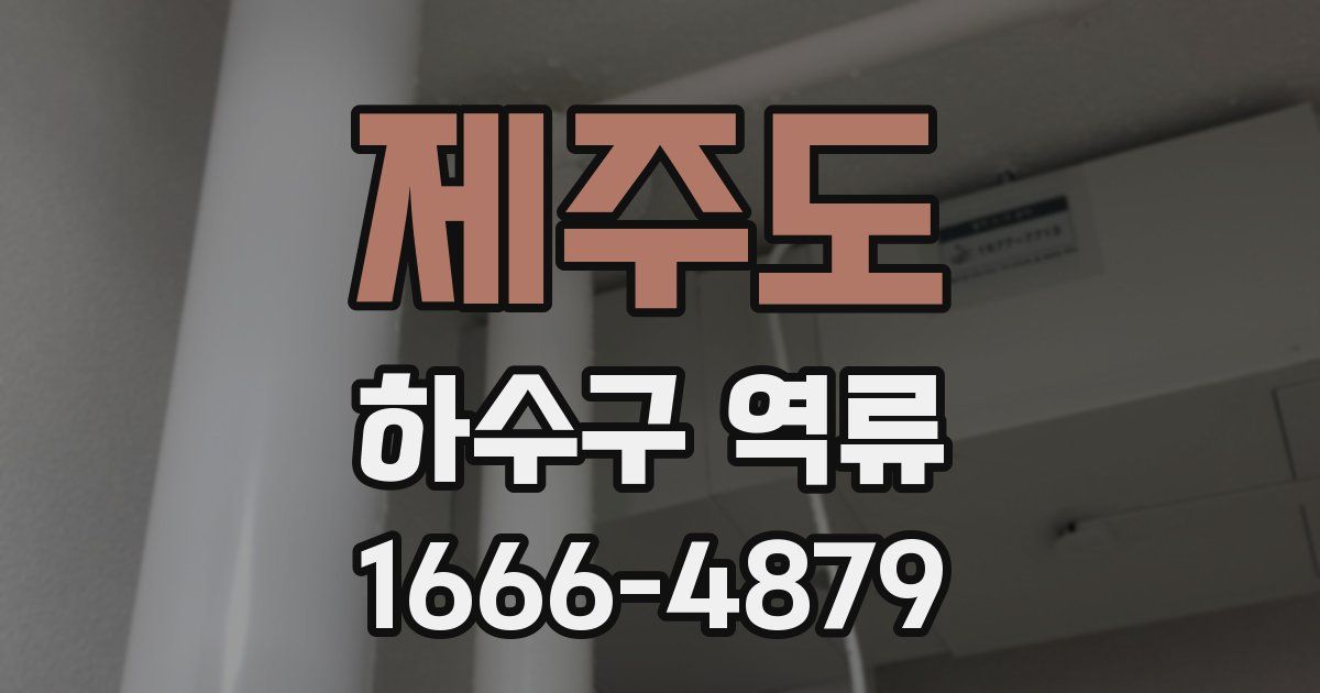 제주도 하수구 역류