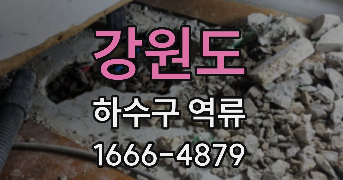 강원도 하수구 역류