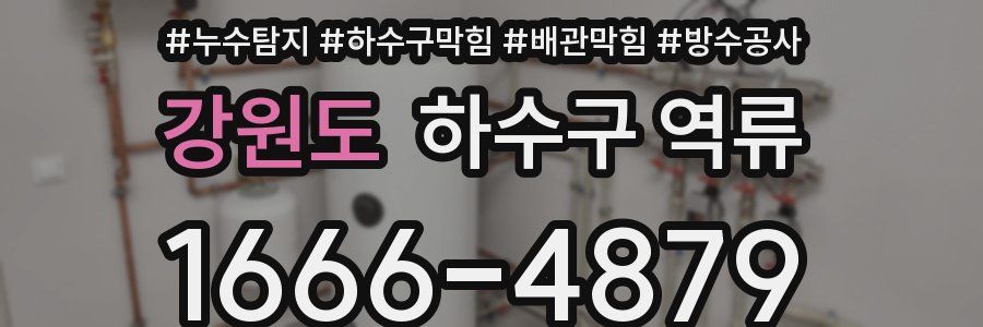 강원도 하수구 역류