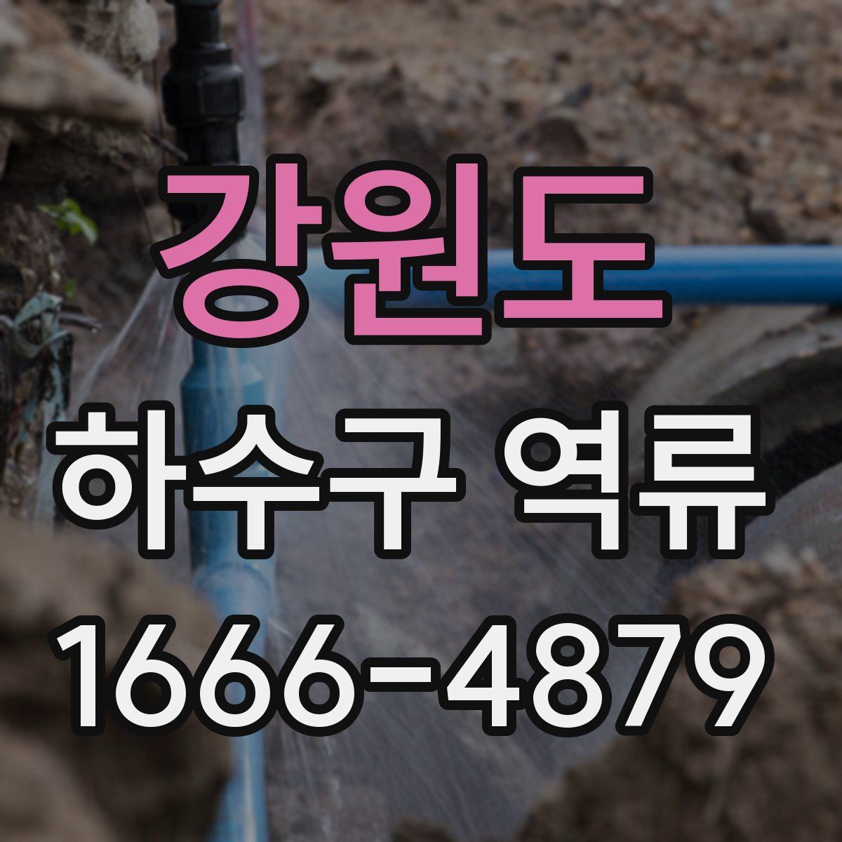 강원도 하수구 역류