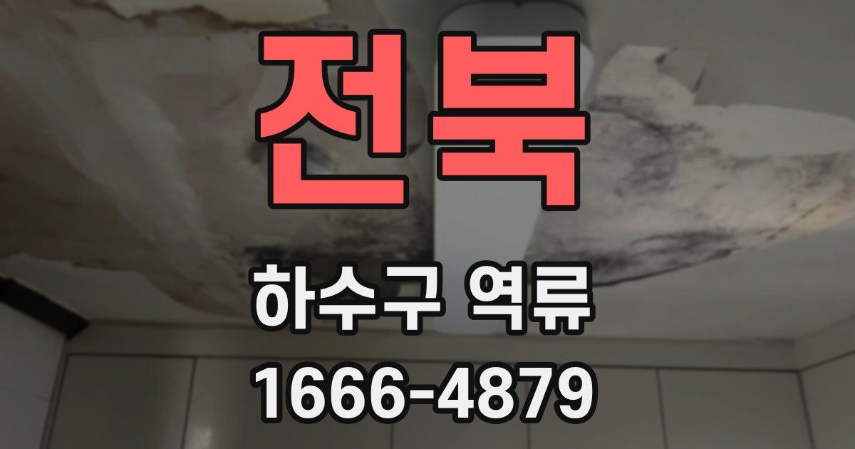 전북 하수구 역류