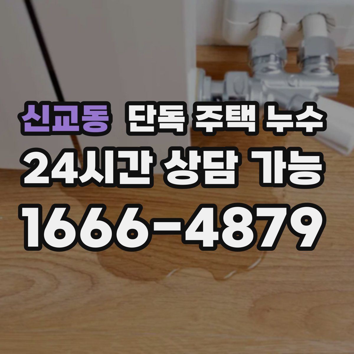 신교동 단독 주택 누수 욕실 천장에서 물이 떨어질 때 원인