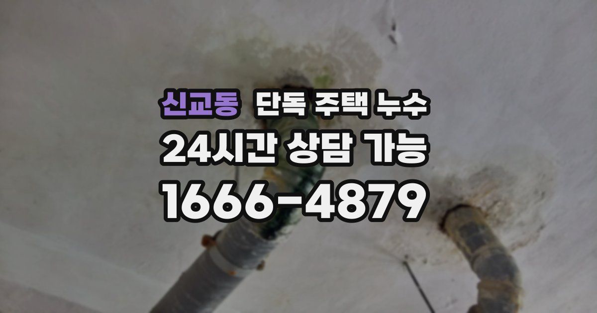 신교동 단독 주택 누수