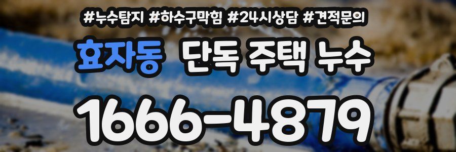 효자동 단독 주택 누수