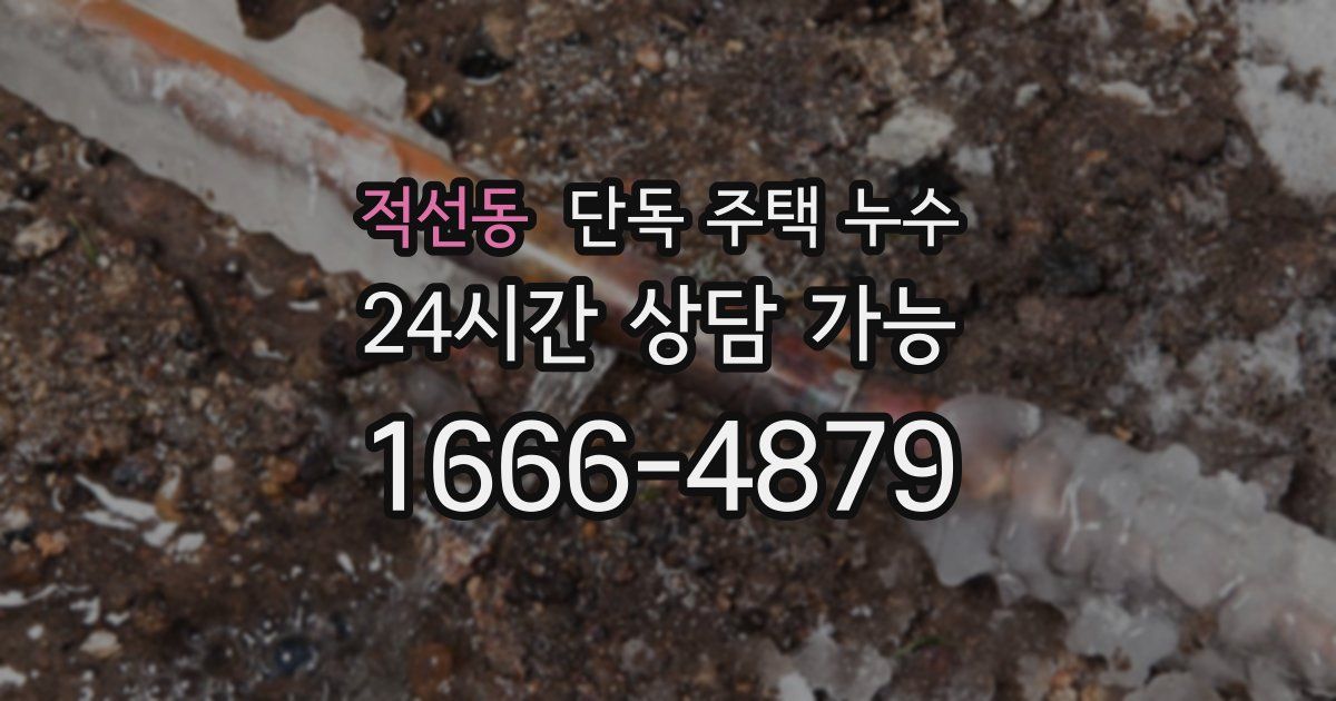 적선동 단독 주택 누수
