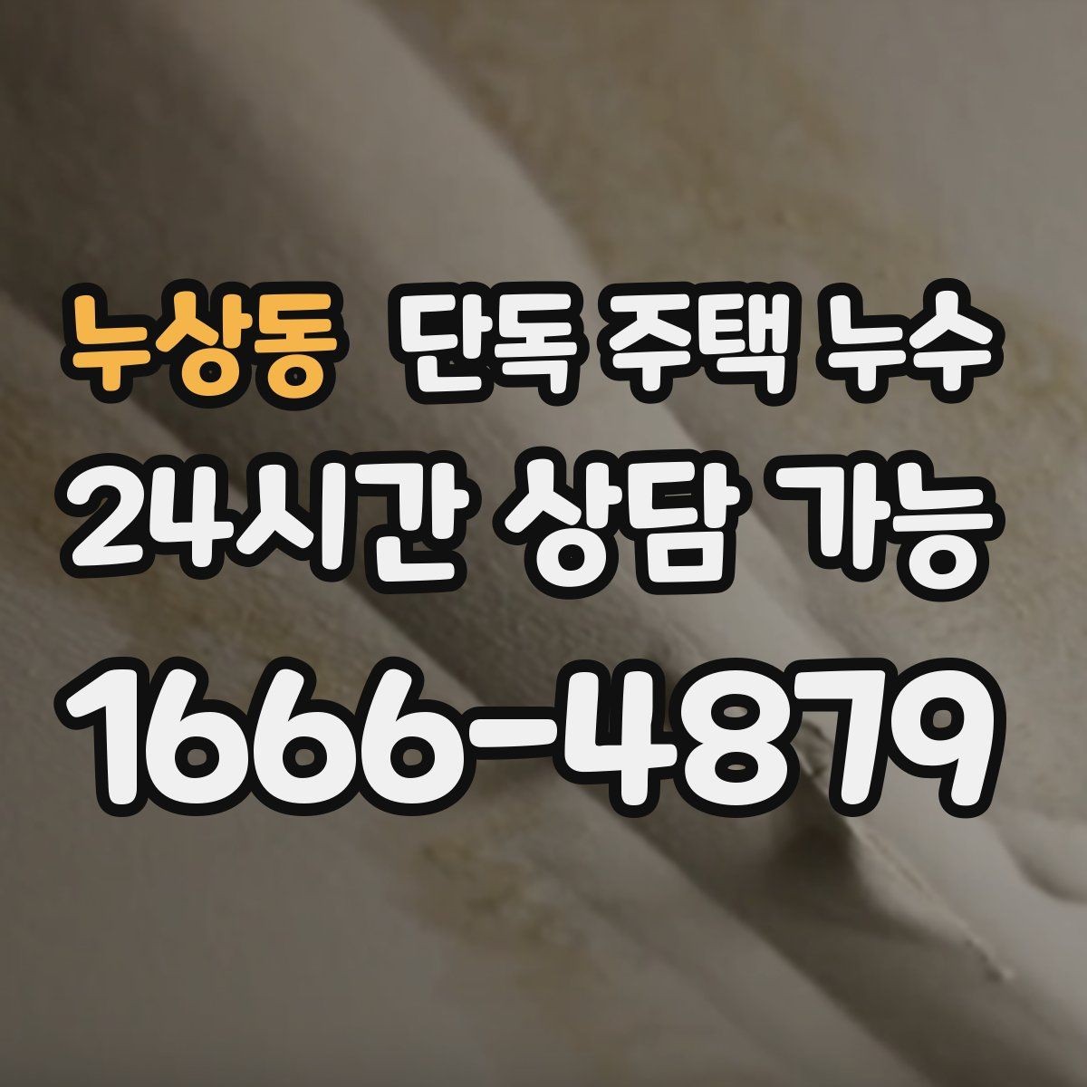 누상동 단독 주택 누수 샤워부스 하부에서 물이 스며들 때