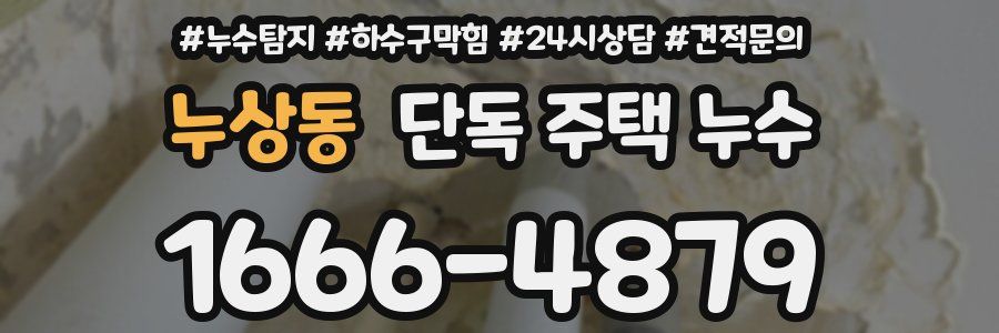 누상동 단독 주택 누수