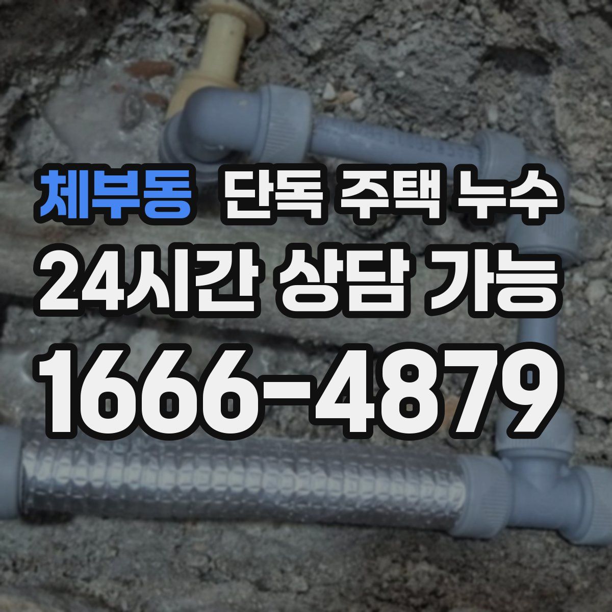 체부동 단독 주택 누수