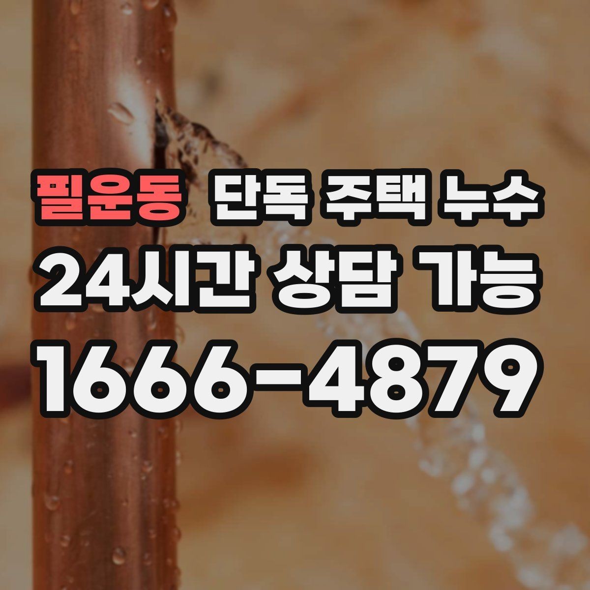 필운동 단독 주택 누수 벽지 속에서 젖은 냄새가 날 때