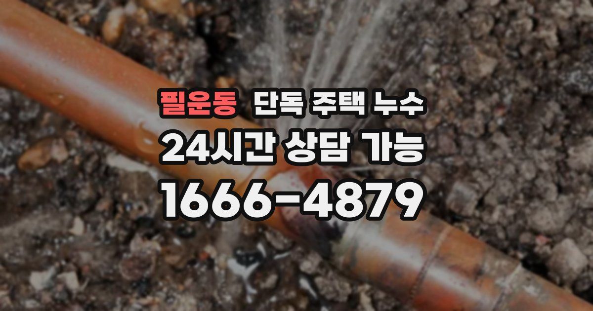 필운동 단독 주택 누수