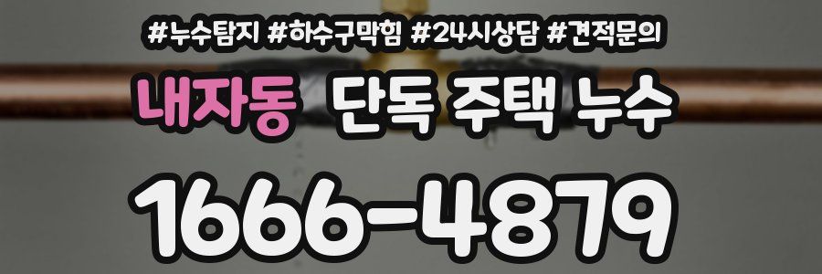 내자동 단독 주택 누수
