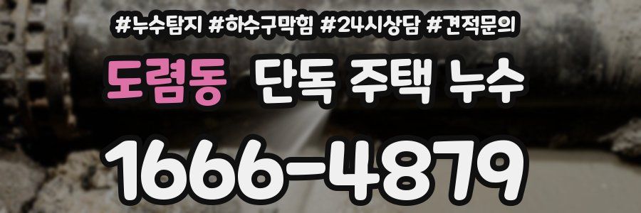 도렴동 단독 주택 누수