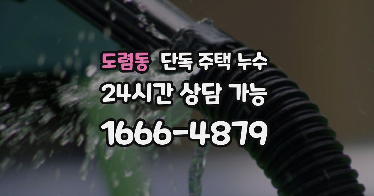 도렴동 단독 주택 누수