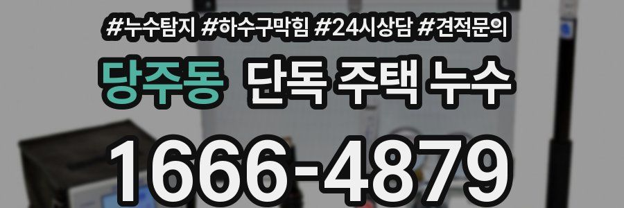 당주동 단독 주택 누수