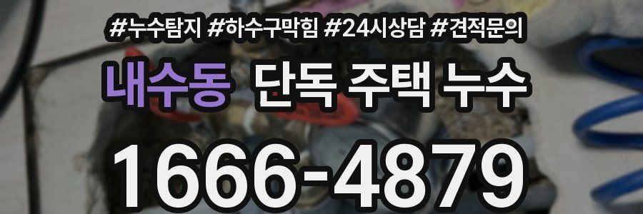 내수동 단독 주택 누수