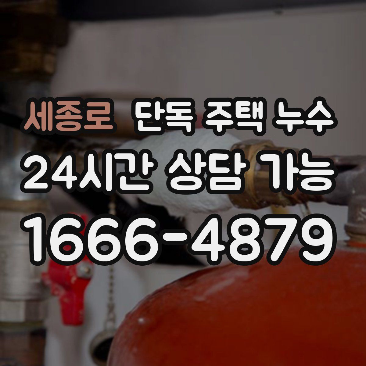 세종로 단독 주택 누수
