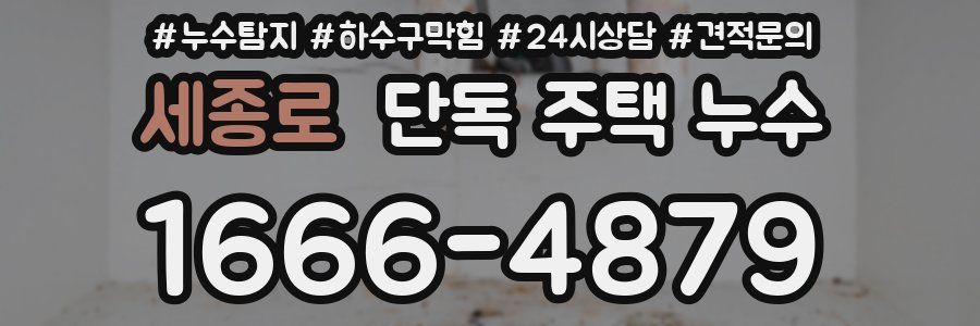 세종로 단독 주택 누수