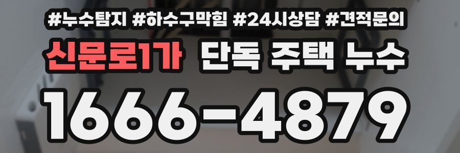 신문로1가 단독 주택 누수
