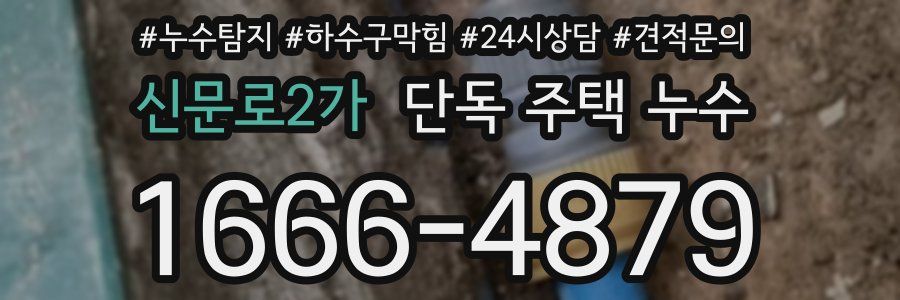 신문로2가 단독 주택 누수