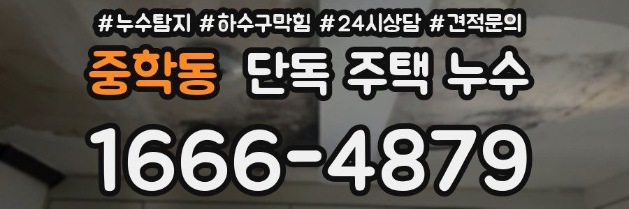 중학동 단독 주택 누수