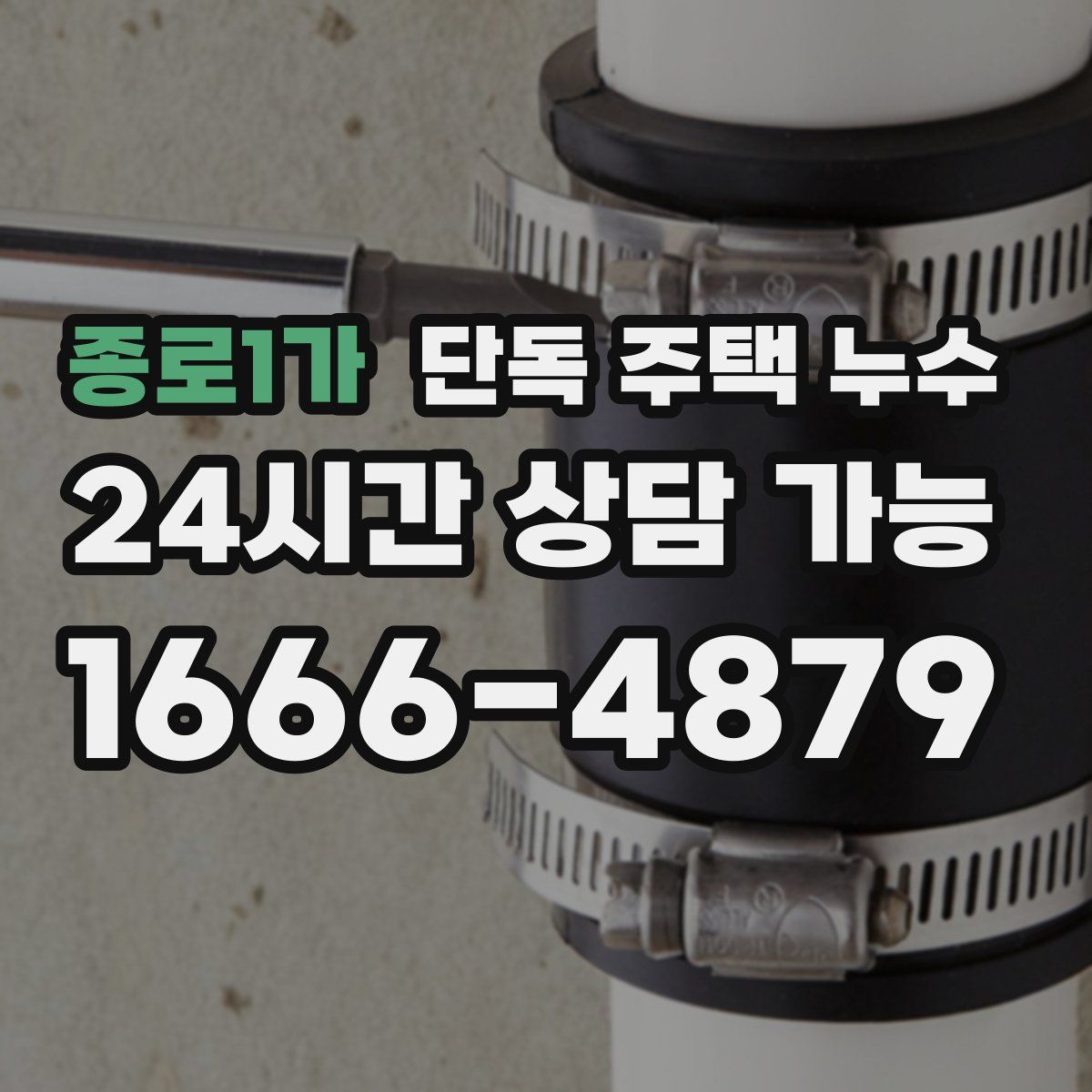 종로1가 단독 주택 누수