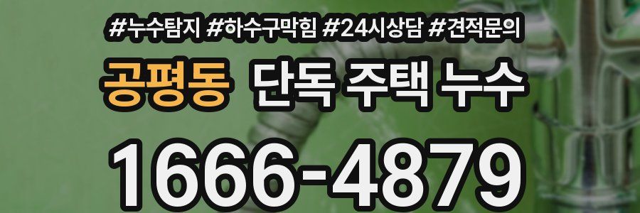 공평동 단독 주택 누수