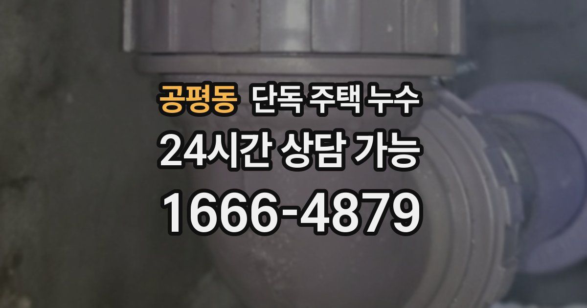 공평동 단독 주택 누수