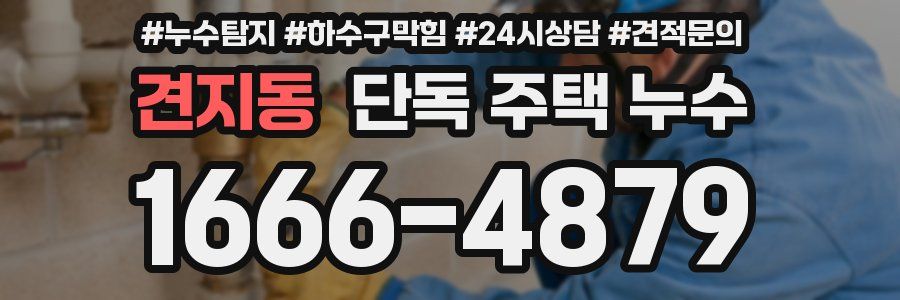 견지동 단독 주택 누수