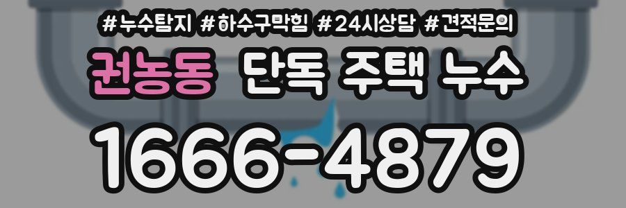 권농동 단독 주택 누수