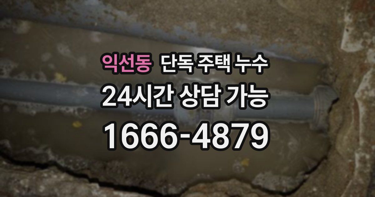 익선동 단독 주택 누수