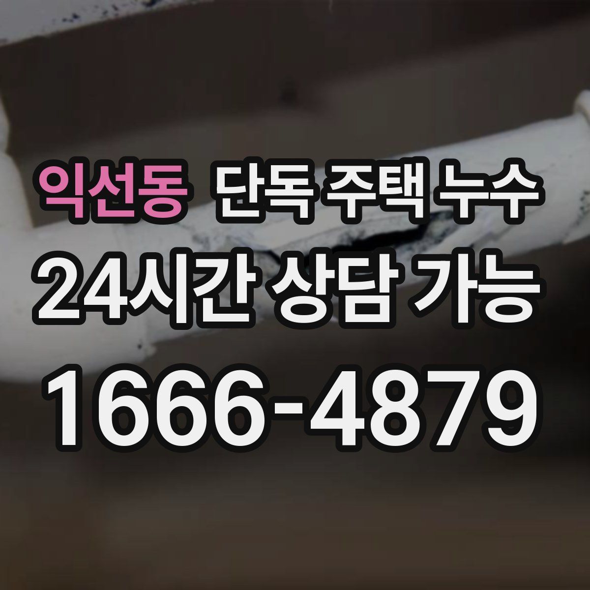 익선동 단독 주택 누수