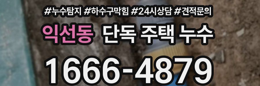 익선동 단독 주택 누수