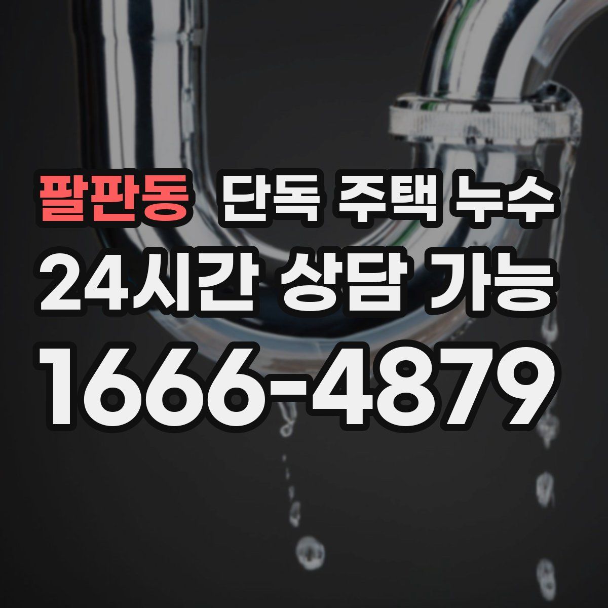 팔판동 단독 주택 누수