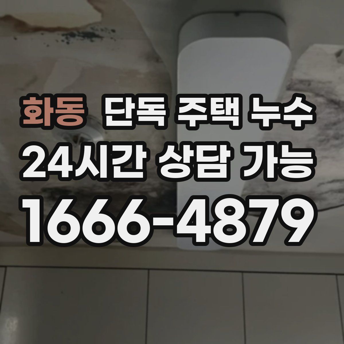 화동 단독 주택 누수