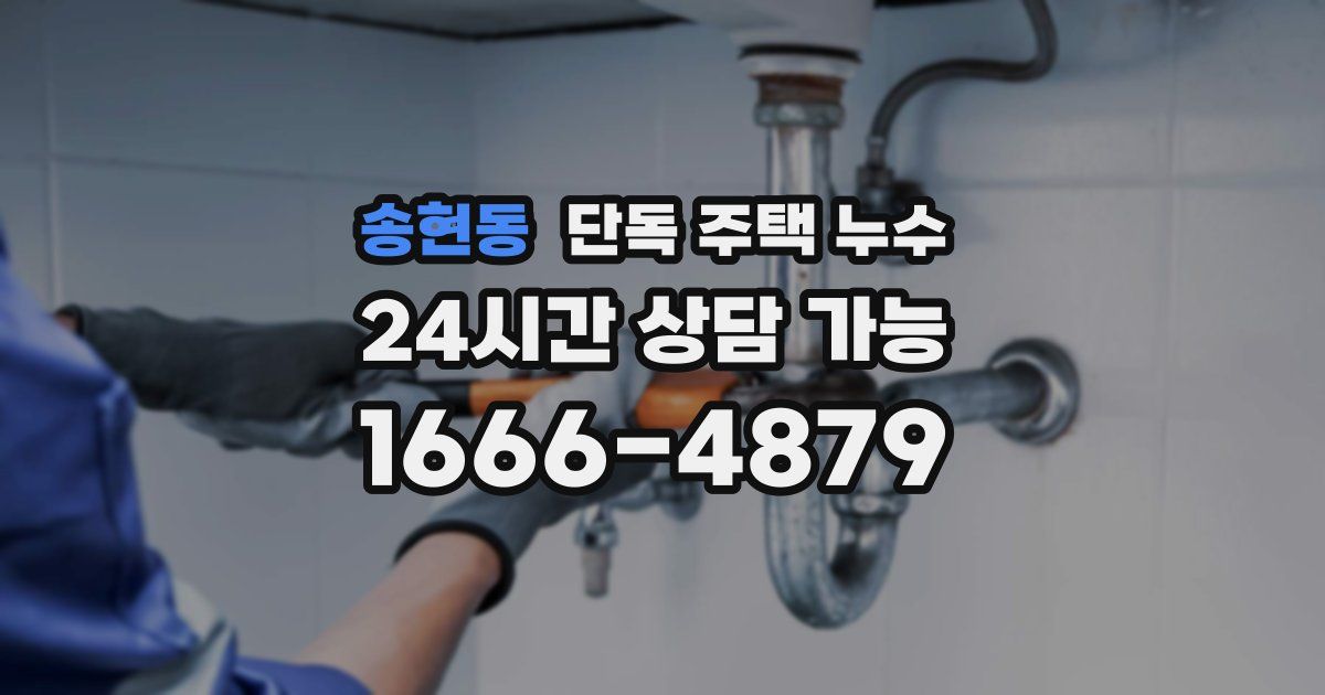 송현동 단독 주택 누수