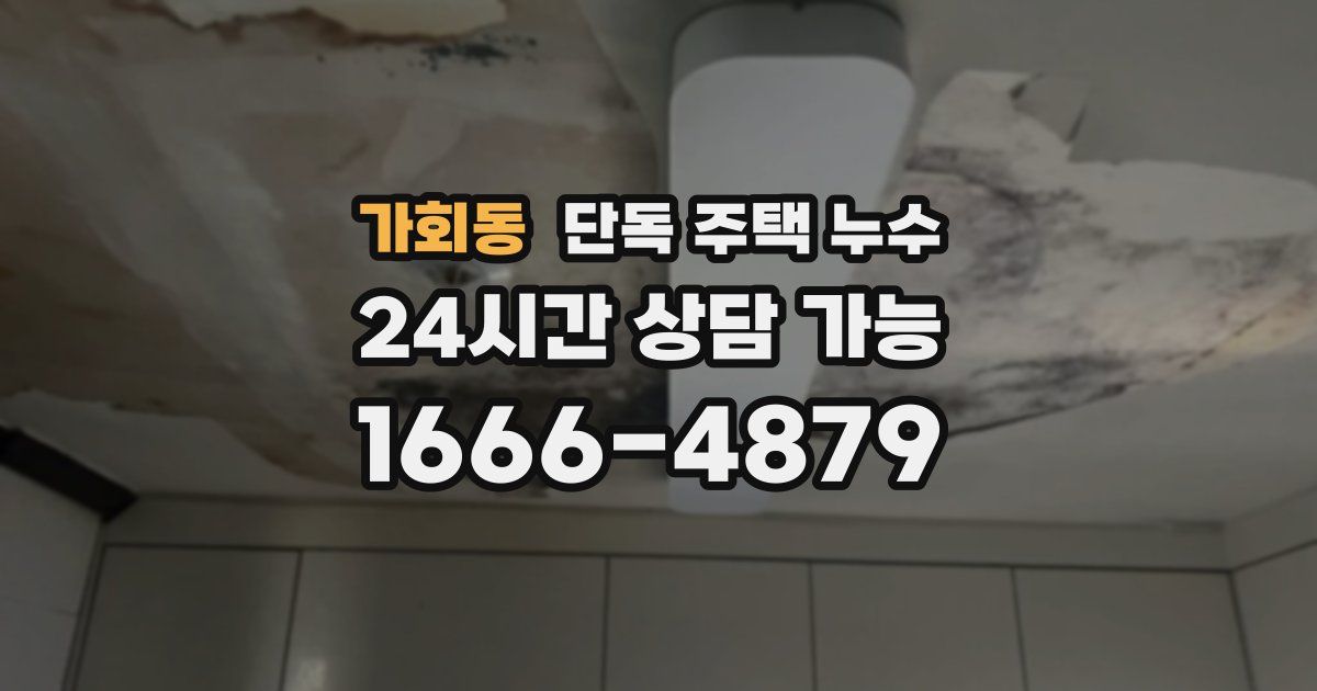 가회동 단독 주택 누수