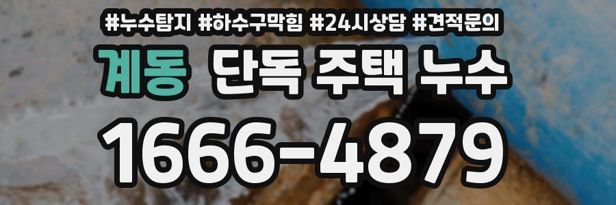 계동 단독 주택 누수