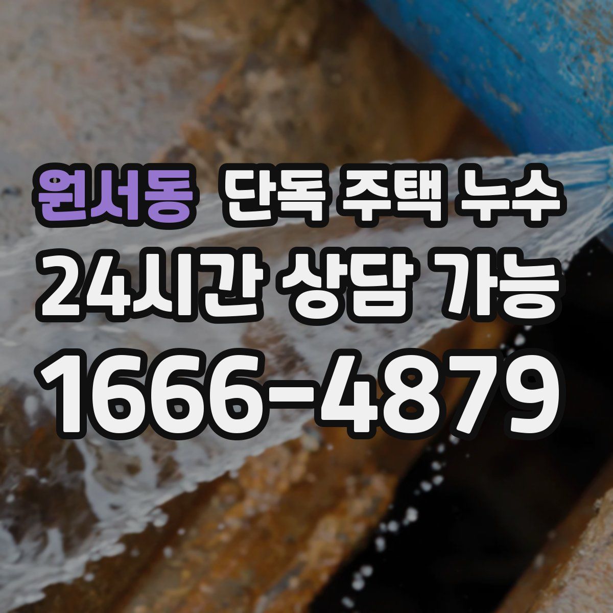 원서동 단독 주택 누수