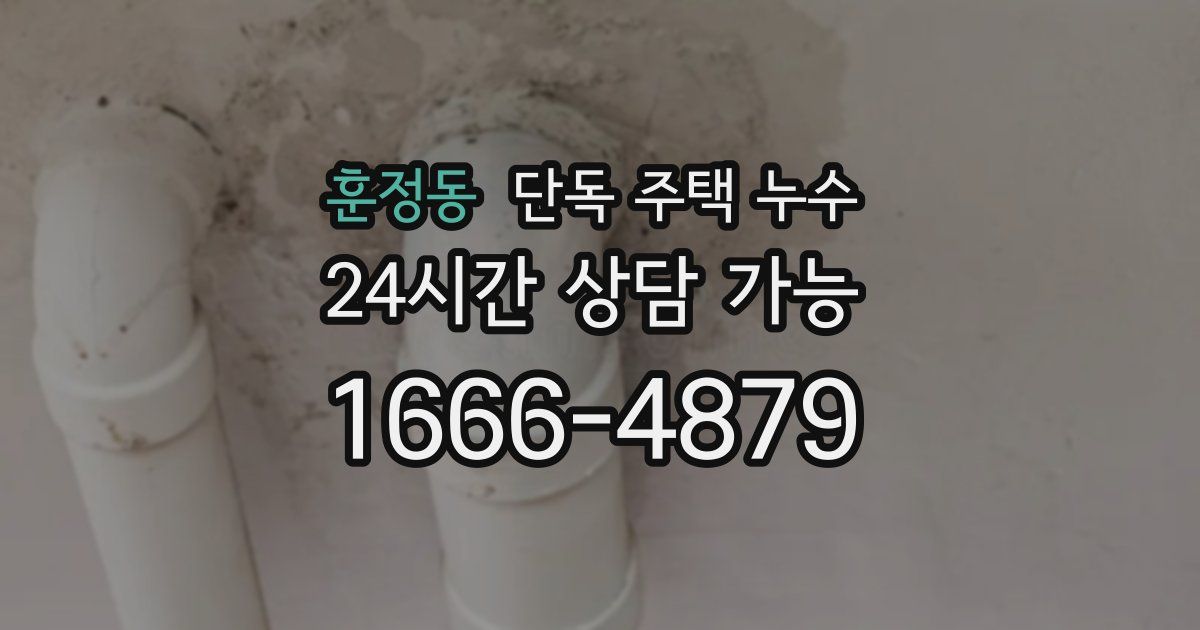 훈정동 단독 주택 누수