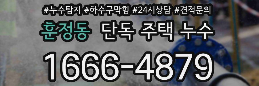 훈정동 단독 주택 누수