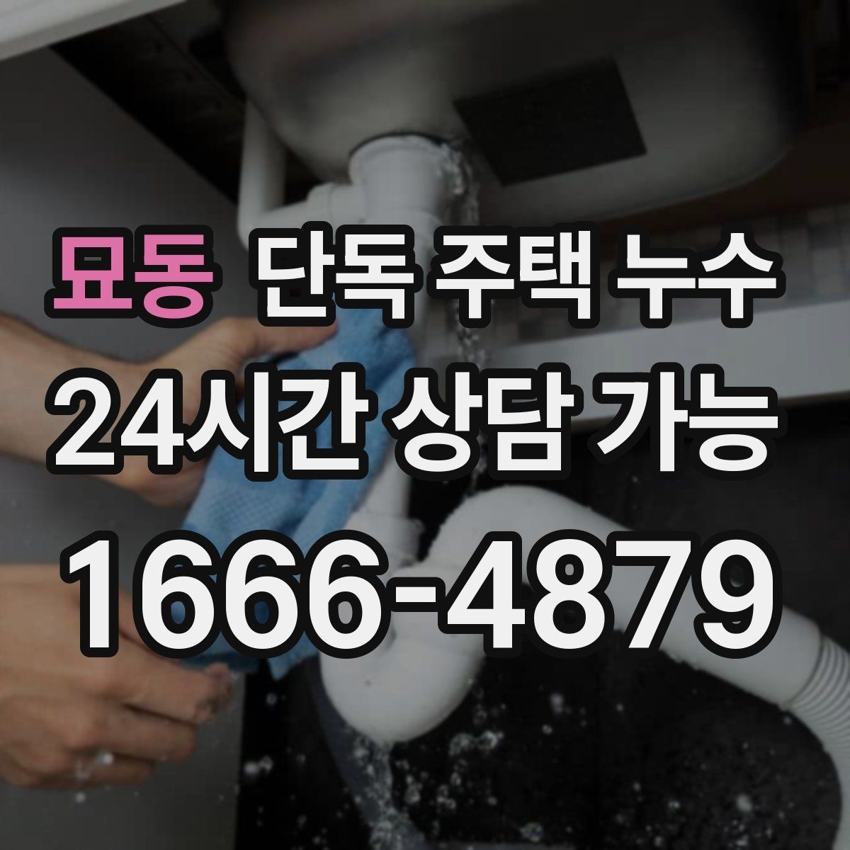 묘동 단독 주택 누수 수리 전 도배 장판을 하면 안 되는 이유
