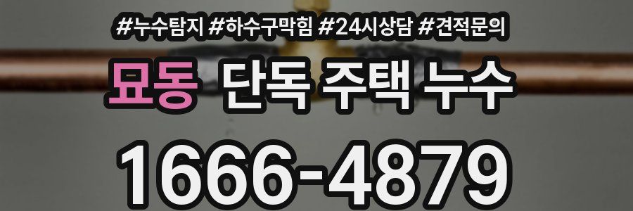 묘동 단독 주택 누수