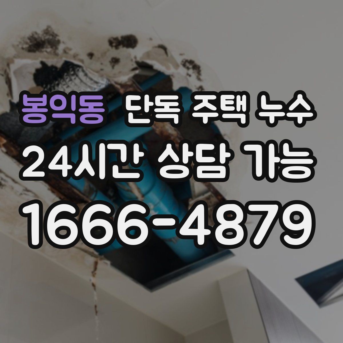 봉익동 단독 주택 누수 비가 그치면 멈추는 누수의 특징