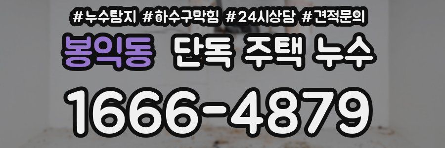 봉익동 단독 주택 누수