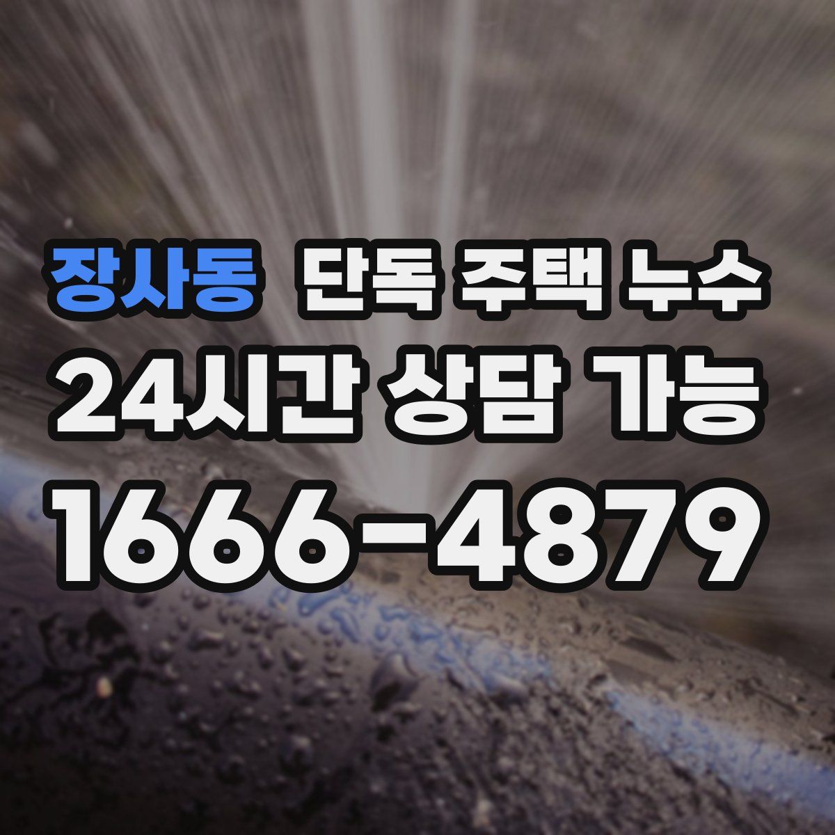 장사동 단독 주택 누수