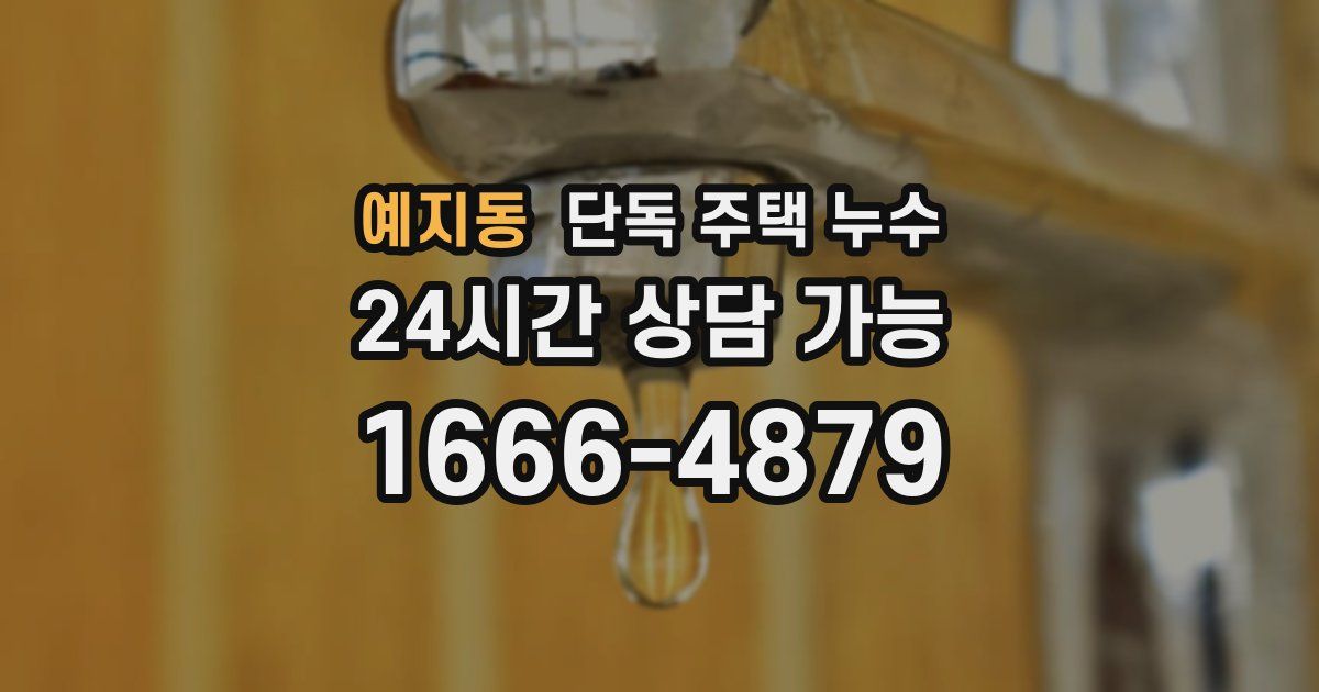 예지동 단독 주택 누수