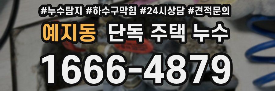 예지동 단독 주택 누수