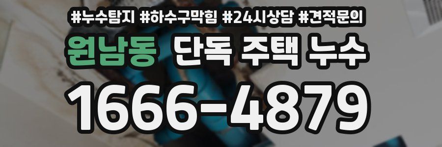 원남동 단독 주택 누수