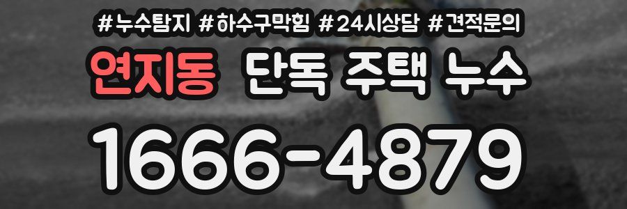 연지동 단독 주택 누수